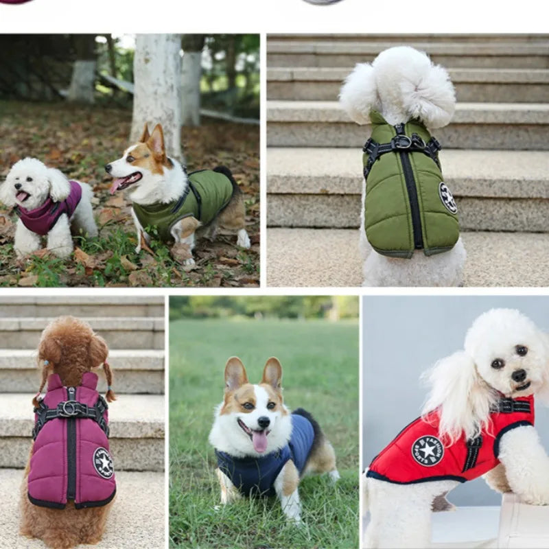 Warm Winter Dog Jacket with Harness Ring – Waterproof Coat for Small Breeds (Chihuahua, French Bulldog, & More) - Wiggly Butts